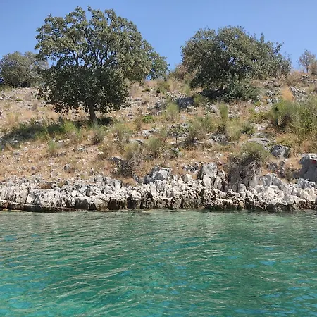 E Olsi Kacupaj Apartament