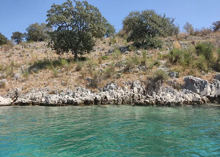 E Olsi Kacupaj Daire